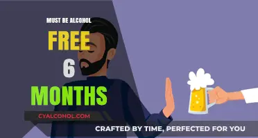 Sober Success: Embracing an Alcohol-Free Life for Six Months and Beyond