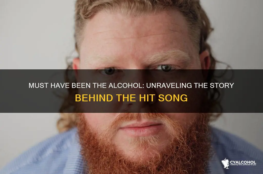 must have been the alcohol song