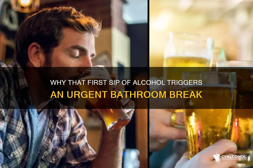 must urinate after the first swallow of alcohol