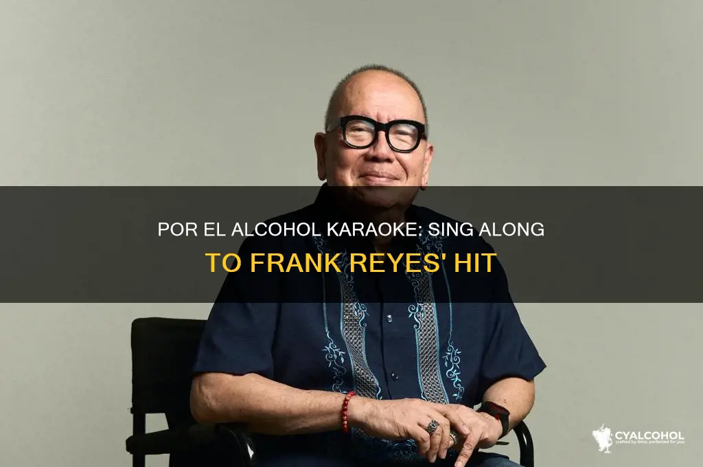 por el alcohol frank reyes karaoke