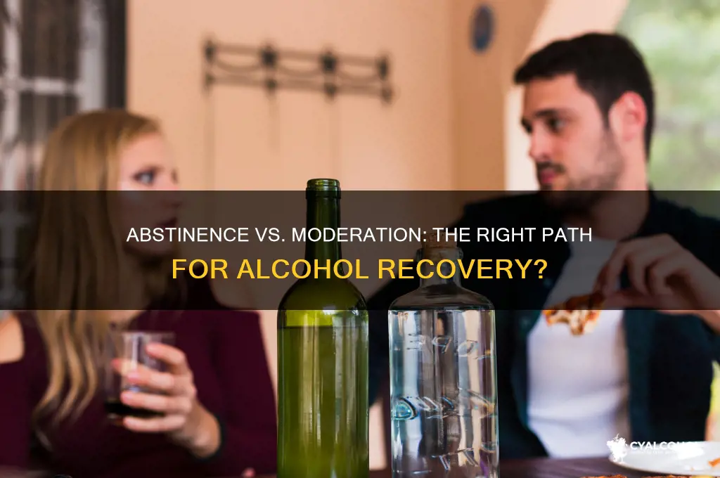 should abstinence be the goal for alcohol treatment