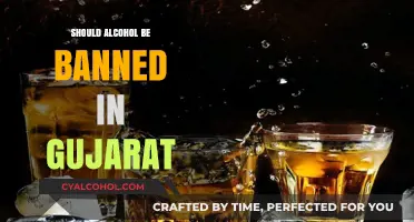 Should Alcohol Remain Banned in Gujarat? Pros, Cons, and Public Opinion