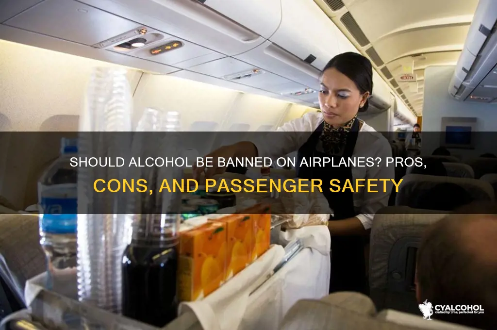 should alcohol be banned on airplanes