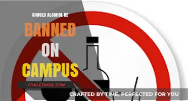 Should Alcohol Be Banned on Campus? Pros, Cons, and Implications