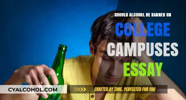 Should Alcohol Be Banned on College Campuses? Pros, Cons, and Impact