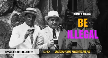 Should Alcohol Be Illegal? Debating Prohibition's Pros and Cons