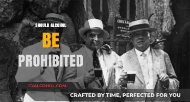 Should Alcohol Be Banned? Debating Prohibition's Pros and Cons