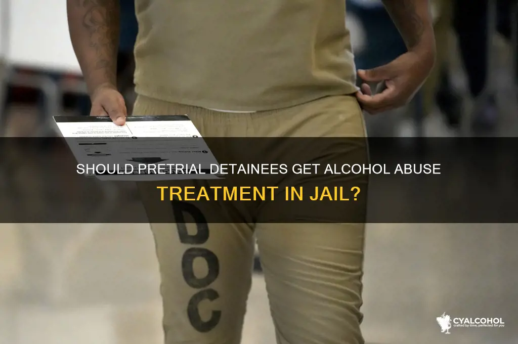 should alcohol pretrial detainee receive substance abuse treatment
