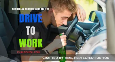 Alcoholics Behind the Wheel: Safe to Drive?