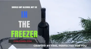 Can You Freeze Alcohol? Myths and Facts About Chilling Drinks