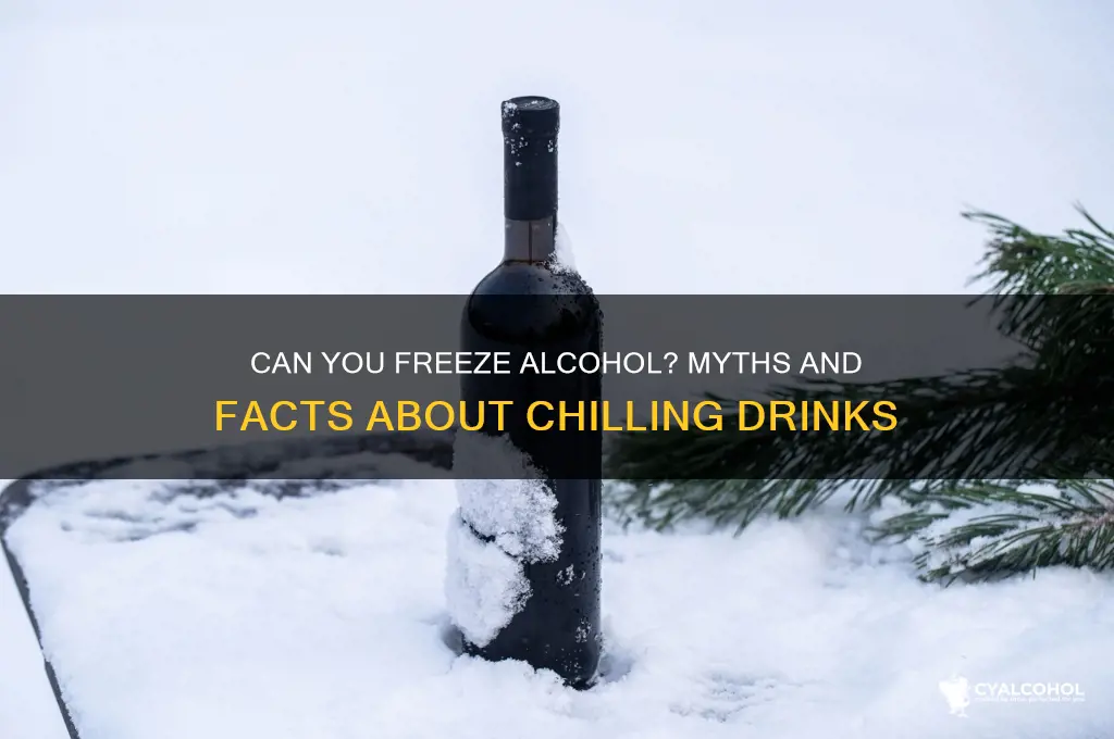 should any alcohol not go in the freezer