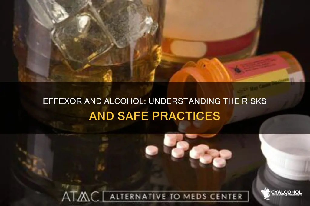 should i avoid alcohol with effexor