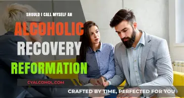 Reclaiming Identity: Navigating Alcoholic Recovery Reformation and Self-Labeling