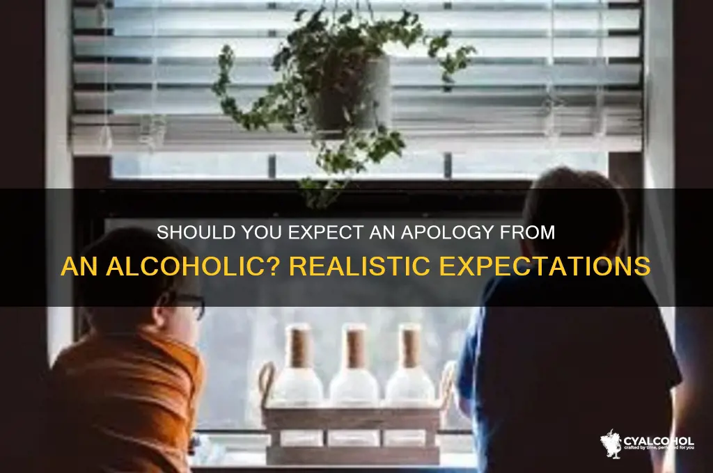 should i expect an apology from the alcoholic