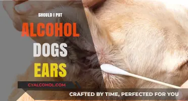Is It Safe to Use Alcohol on Your Dog's Ears?