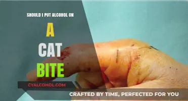 Is Alcohol Safe for Treating Cat Bites? Expert Advice Revealed
