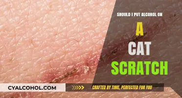 Is Alcohol Safe for Treating Cat Scratches? Expert Advice Revealed