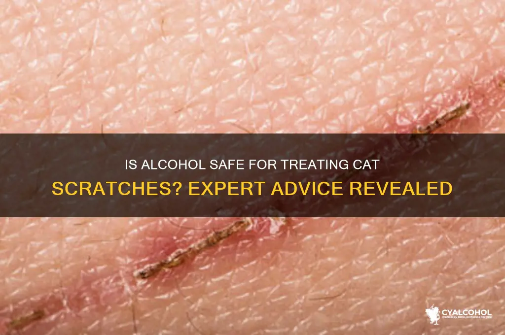 should i put alcohol on a cat scratch