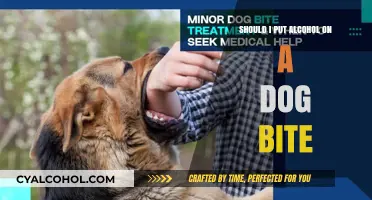 Should You Use Alcohol on a Dog Bite? Expert Advice