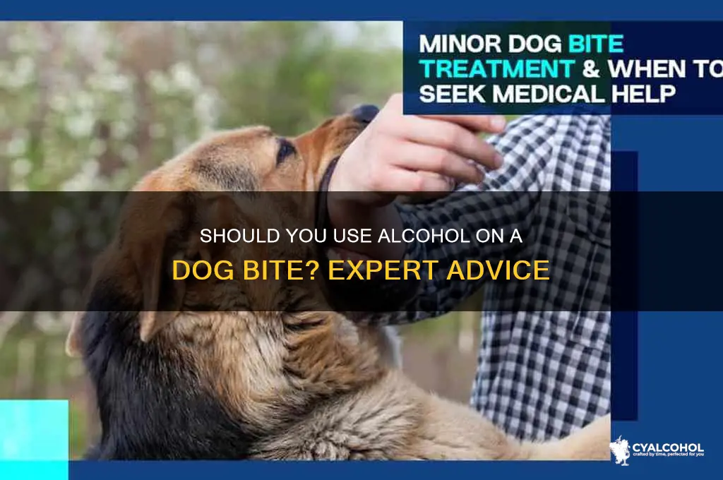 should i put alcohol on a dog bite