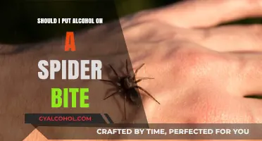 Alcohol on Spider Bites: Safe Remedy or Risky Myth?