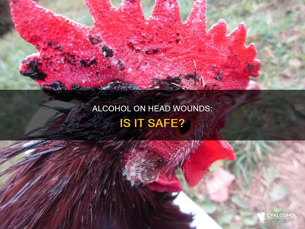 should i put alcohol on sores on head wound