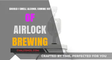 Why Does My Airlock Smell Like Alcohol?