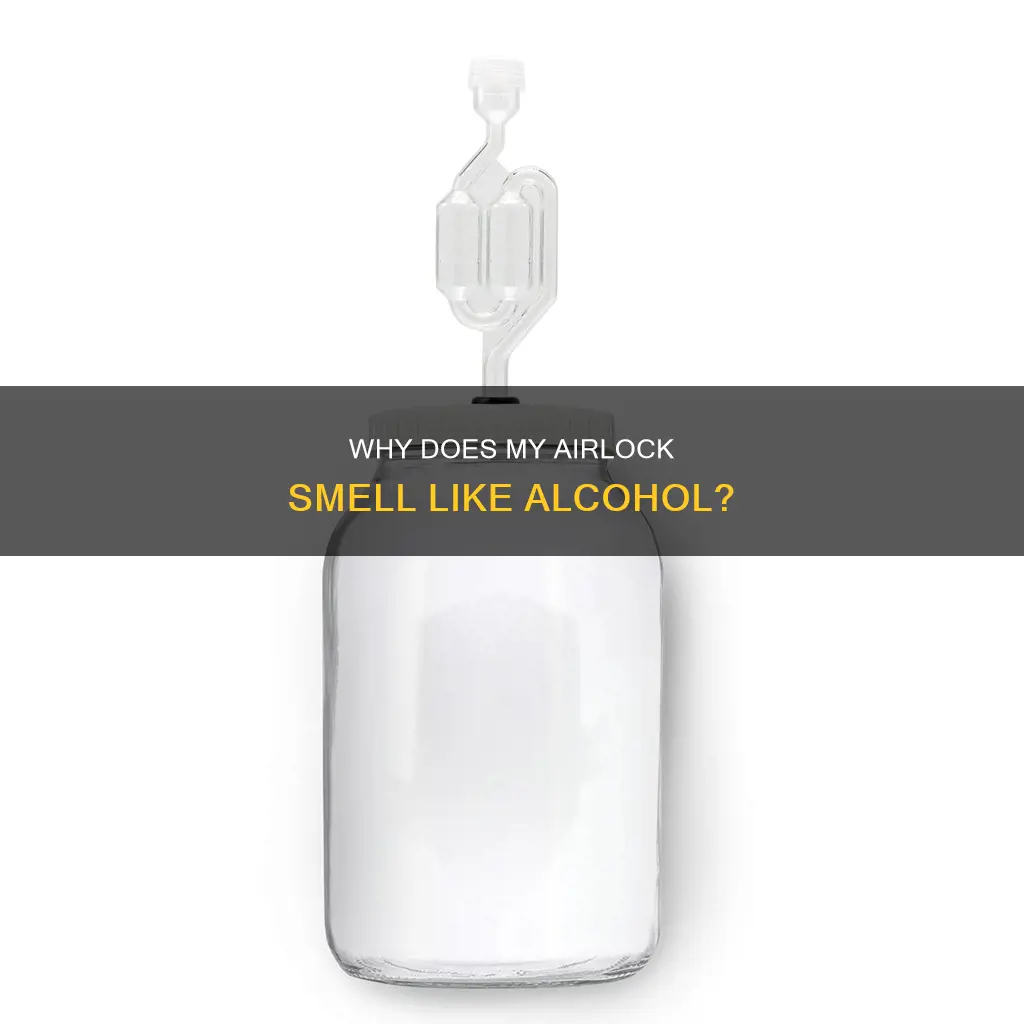 should i smell alcohol coming out of airlock brewing