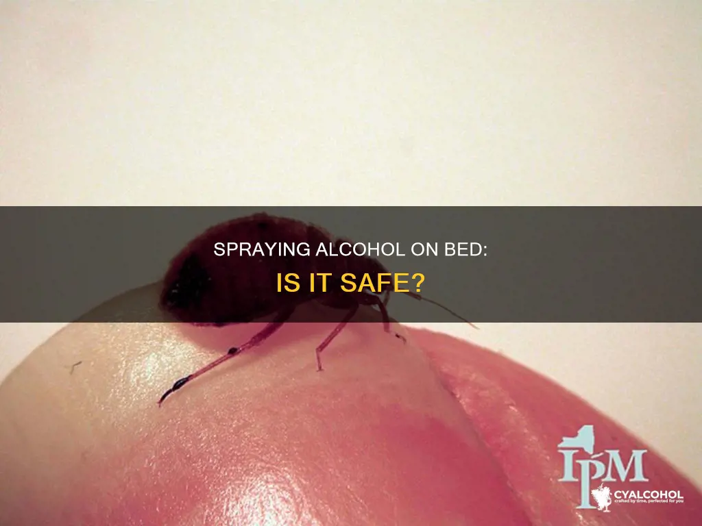 should i spray alcohol on my bed at night