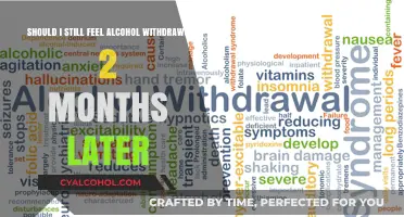 Alcohol Withdrawals: Lingering Effects After Two Months?