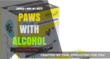 Alcohol for Dog Paws: Safe or Not?