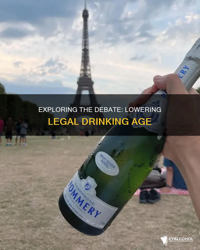 should we lower the legal age to consume alcohol