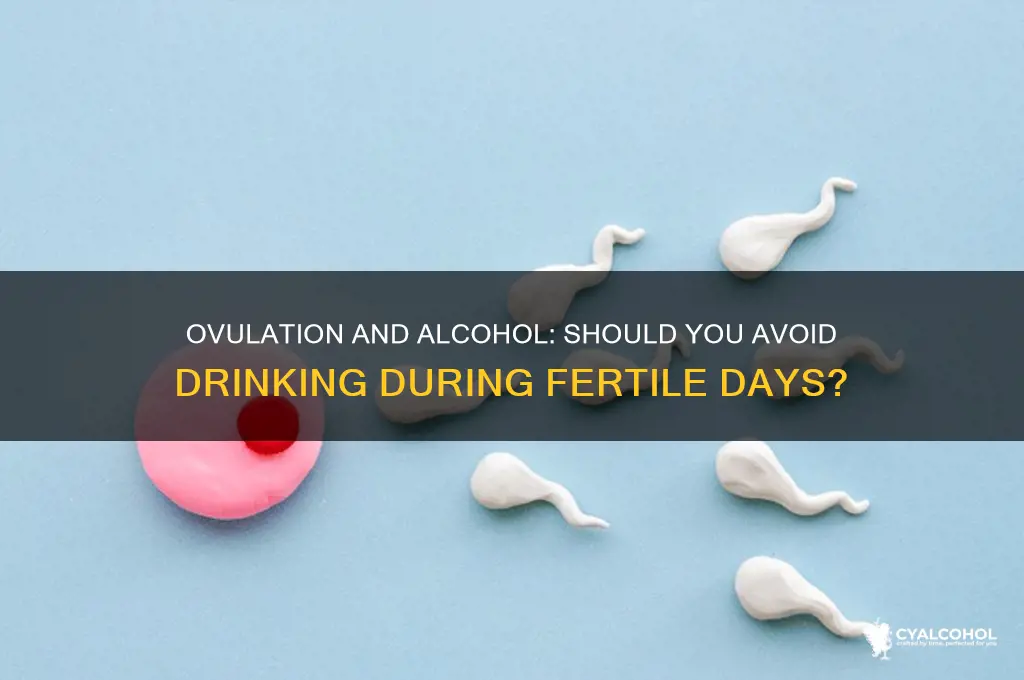 should you avoid alcohol during ovulation