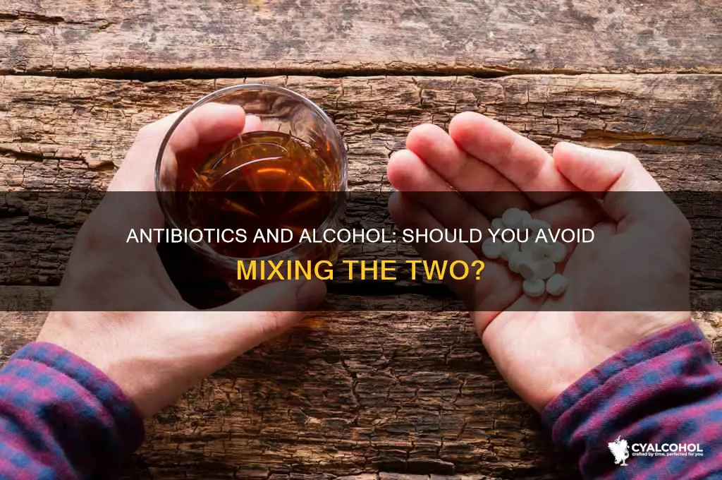 should you avoid alcohol on antibiotics
