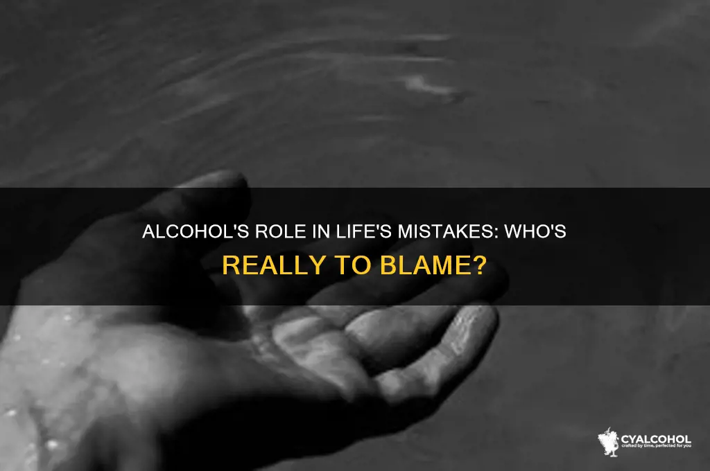 should you blame alcohol for anything