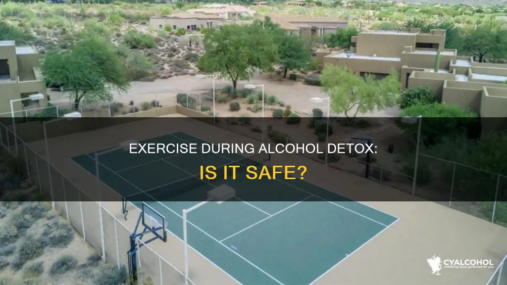 should you exercise when you are detox from alcohol