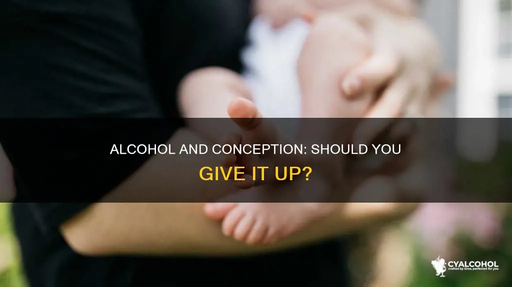 should you give up alcohol when trying to conceive
