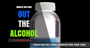 Should You Induce Vomiting After Drinking Alcohol? Risks and Advice