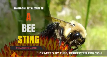 Alcohol on Bee Stings: Effective Remedy or Harmful Myth?