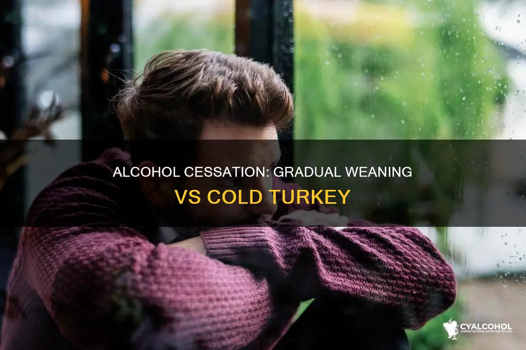 should you wean off alcohol or quit cold turkey
