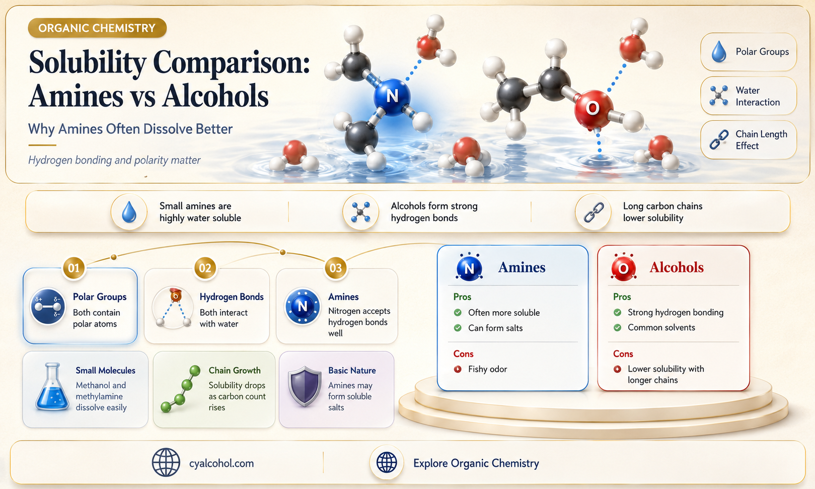 are amines more soluble and alcohols