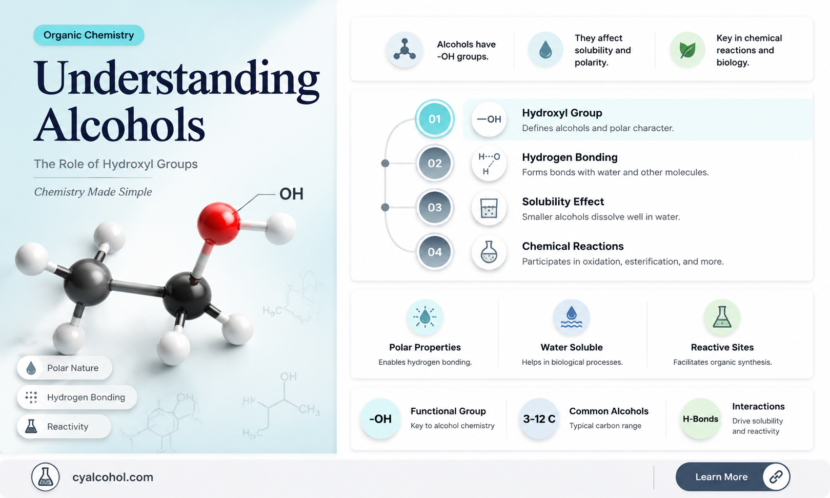 are alcohols hydroxyl