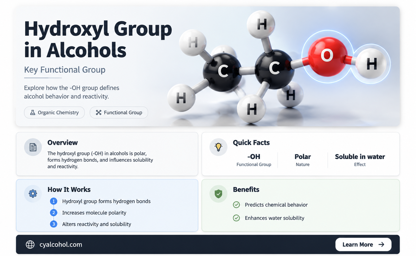 are alcohols hydroxyl group