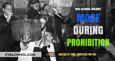 Prohibition's Paradox: Did Alcohol Flow Freely Despite the Ban?
