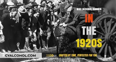 Prohibition Era: Why Alcohol Was Banned in the 1920s