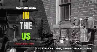 Prohibition's Impact: Was Alcohol Banned in the US and Why?