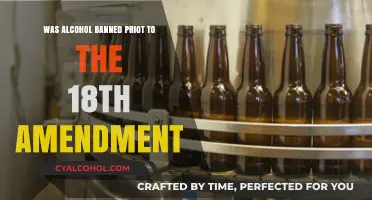Prohibition's Roots: Did Alcohol Bans Precede the 18th Amendment?