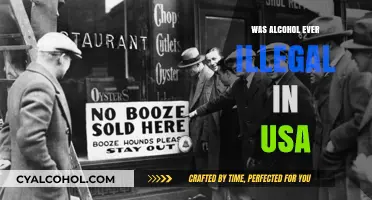 Was Alcohol Ever Illegal in the USA? Exploring Prohibition's History
