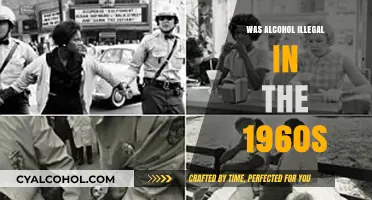 Was Alcohol Illegal in the 1960s? Uncovering Prohibition's Legacy