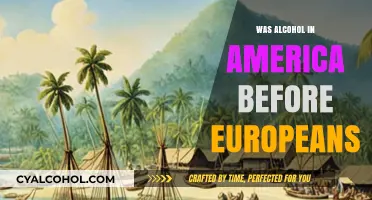 Pre-Colonial Spirits: Alcohol in America Before European Arrival